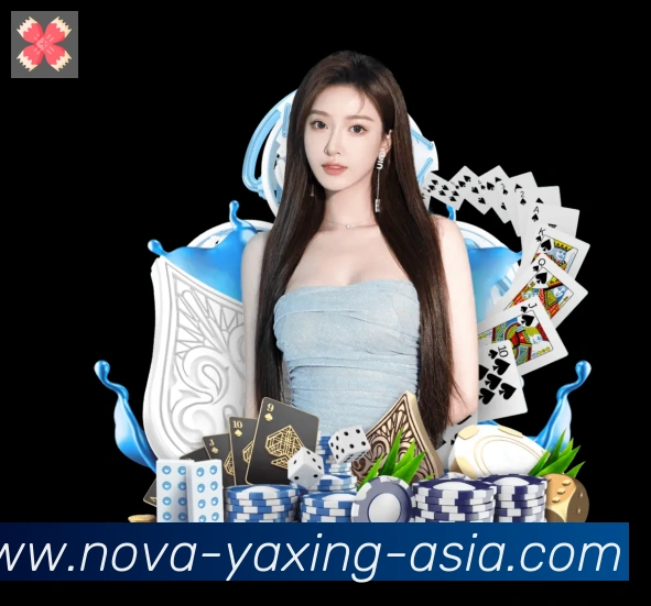 未来规划